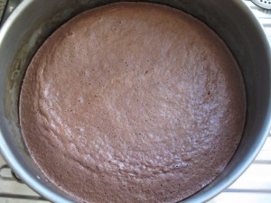 12 Pfirsich-Melba-Torte - Fertiger Tortenboden