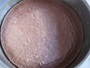 13 Pfirsich-Melba-Torte - Tortenboden 1 Tag spaeter