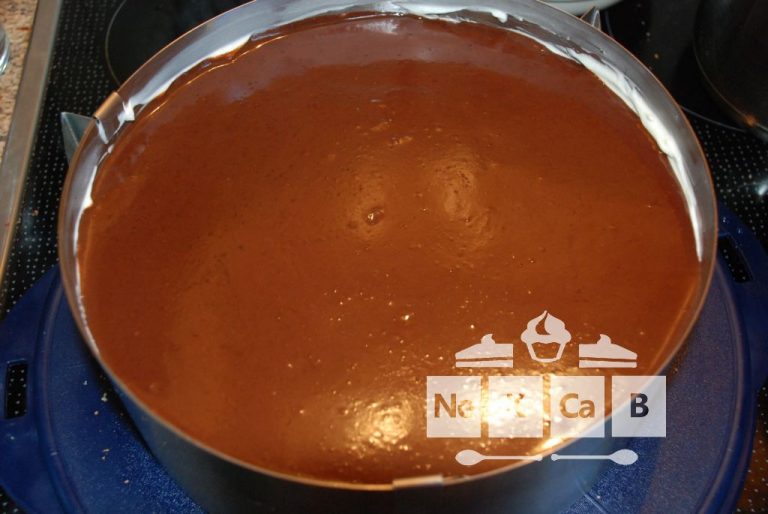 Orangen-Schoko-Sahne- oder Soft-Cake-Torte - nekcab